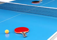 Easy Install Blue Ping Pong Table , Aluminum Ping Pong Table Movable With Logo