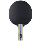 Fast Allround Ping Pong Racket 2 Star Blue Line Handle For Player Attacking And Control
