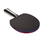 Portable Table Tennis Set 2 Bats 3 Balls with Bag Poplar 5 Layer Strengthening Blade Attack Power