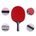 Reversed Rubber Table Tennis Set 2 Bats 3 ABS Balls Flexible Net Holder in Bag