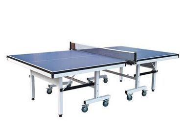 Professional Competition Table Tennis Table Single Folding For Physical Training