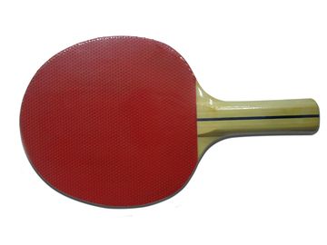 Beginner Table Tennis Rackets 6 Plies Poplar Pimple Out without Sponge