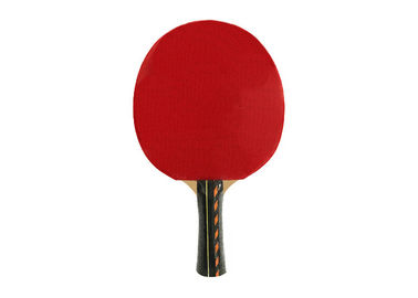 Laminated Color Handle Paddles, Reverse Rubber Sponge Poplar Plywood Rackets