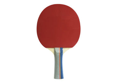 Colour Handle Table Tennis Rackets Double Reverse Rubber with Sponge for Fun to play