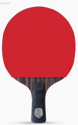 ISO9001 Table Tennis Rackets AYOUS Handle High Elastic Sponge