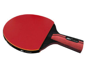 Straight Handle Table Tennis Paddle Set Red Black Carbon Blade Elastic Sponge Reverse Rubber