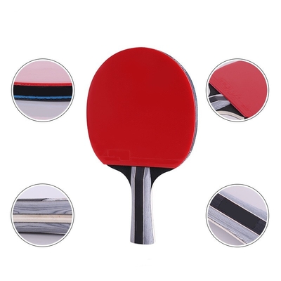 Reversed Rubber Table Tennis Kits Poplar Wood 2 Bats 3 ABS Balls Flexible Net